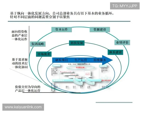 分析开元国际集团有限公司的管理模式与企业运营的成功经验